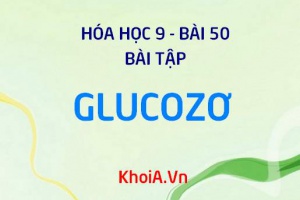 Bài tập về Glucozơ: Giải bài tập 1, 2, 3, 4 trang 152 SGK Hóa lớp 9 bài 50
